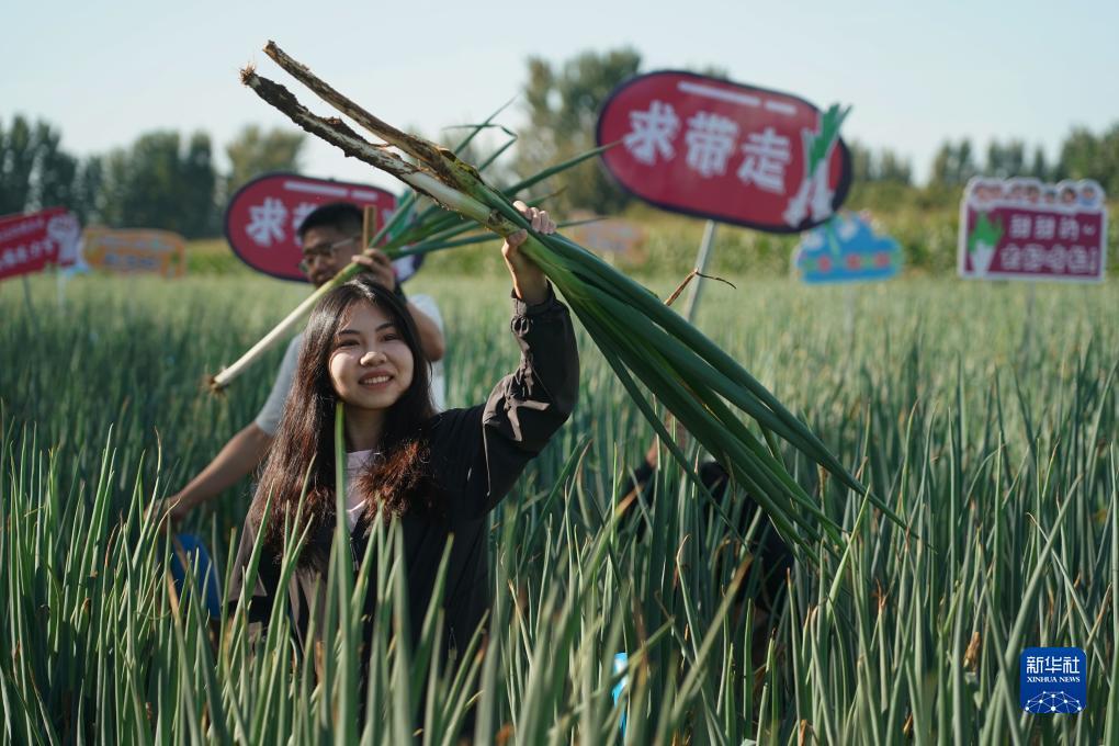 九武至尊游戏